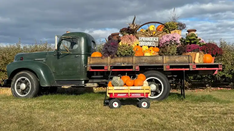 Sprangers Orchard2