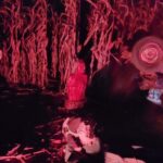 zombie maze 150x150