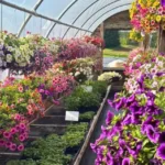 Woodland Valley Farms Country Greenhouses1 150x150