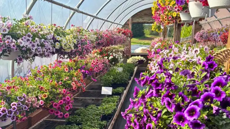 Woodland Valley Farms Country Greenhouses1
