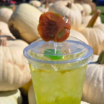 Buffalo Bills Pumpkin Farm 4 150x150