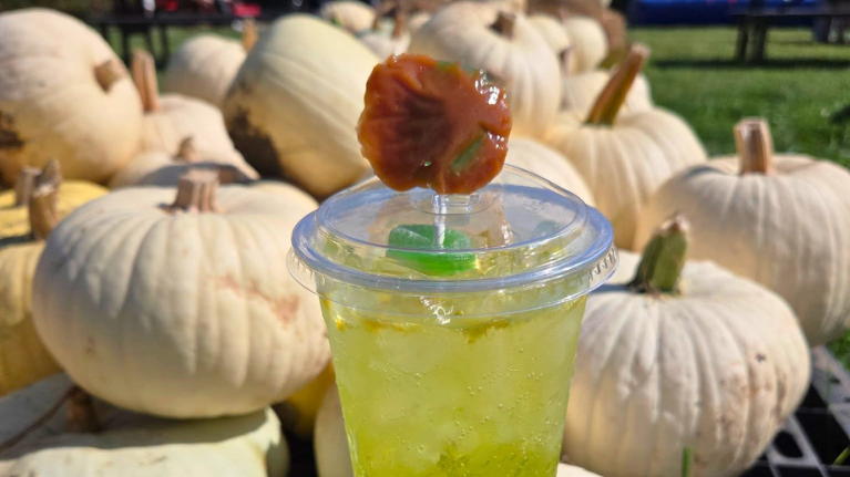 Buffalo Bills Pumpkin Farm 4