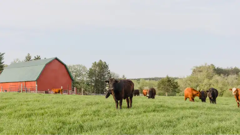 Dohertys Family Farm Market1