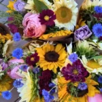 Little Meadow Farm1 150x150