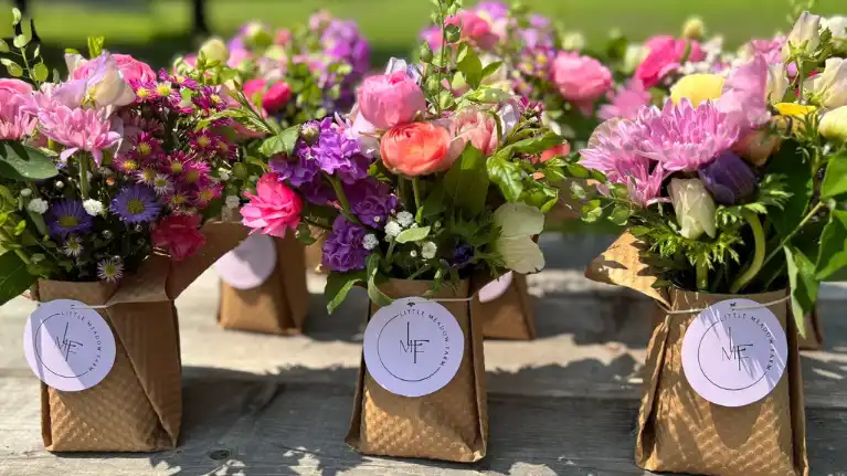 Little Meadow Farm4