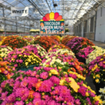 WATA Member Profile Redstone Valley Farm 150x150
