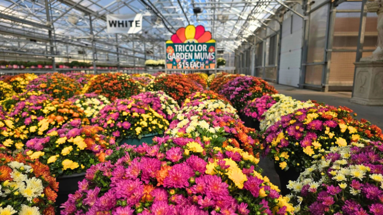 WATA Member Profile Redstone Valley Farm