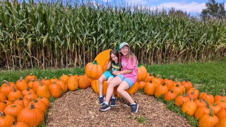 Waldvogels